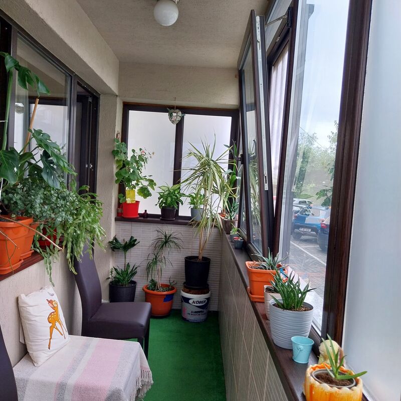 Bragadiru, str. Monumentului, nr 6B